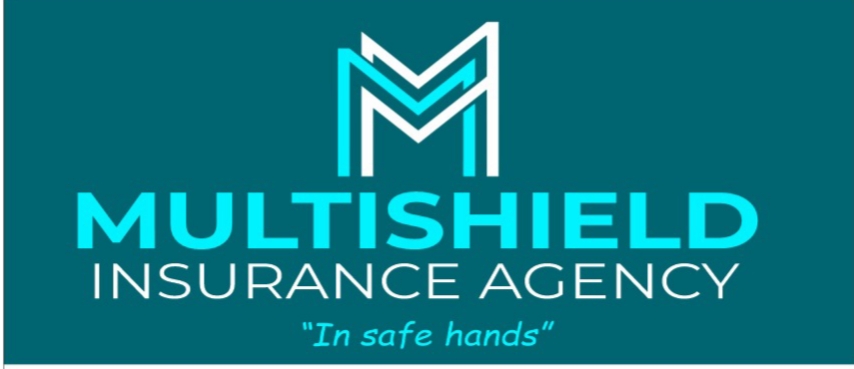 multishield